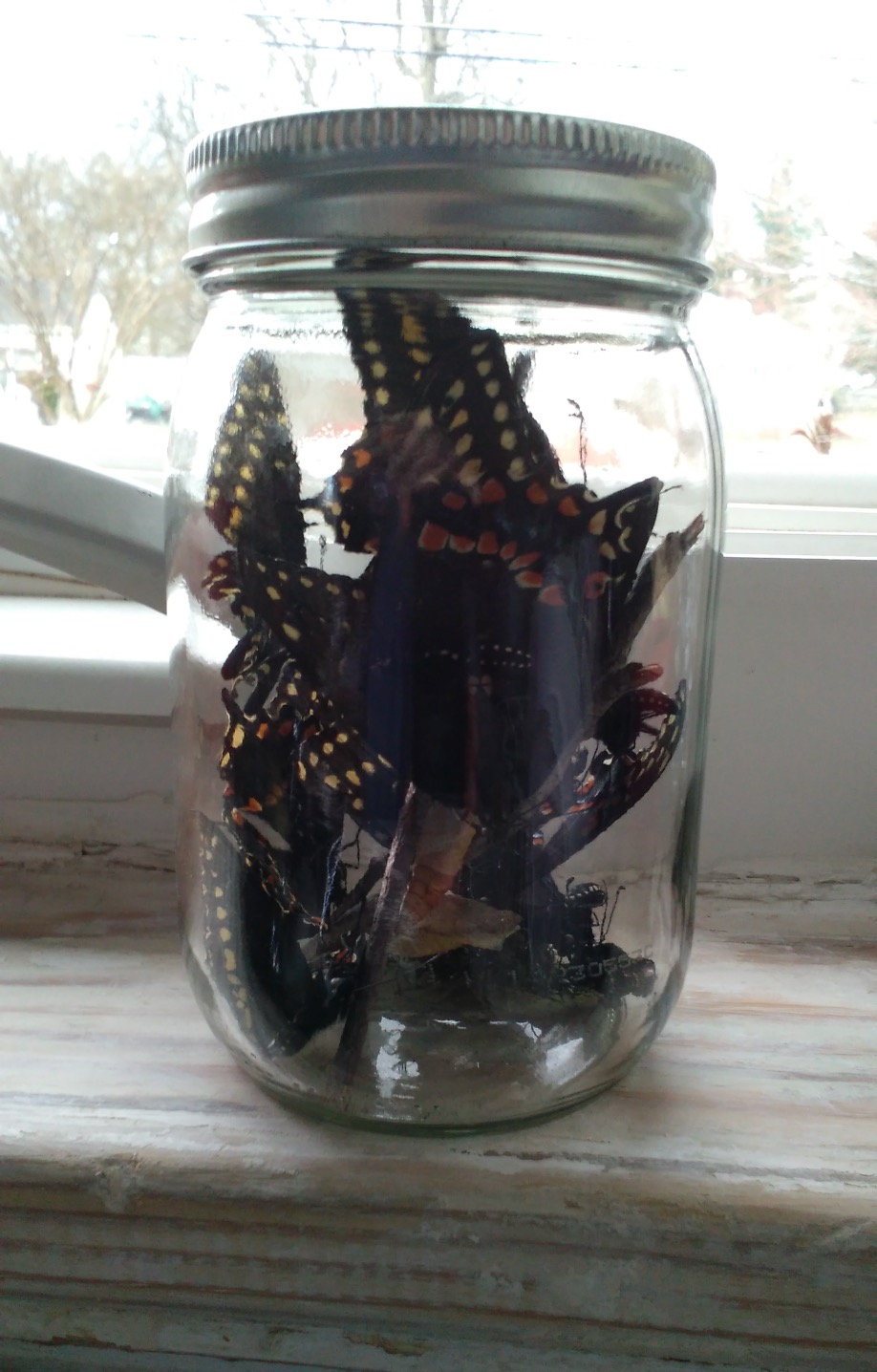 1488051548158_mod_img_20170225_143732